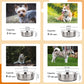 PEDAY Stainless Steel Dog Bowls 2 Pack