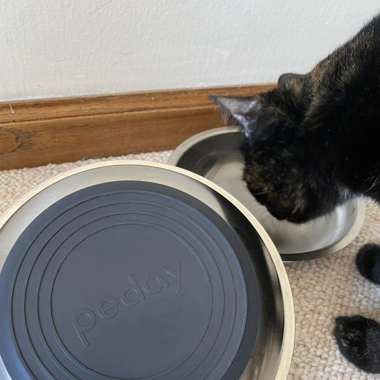 PEDAY 304 Whisker Stress Free Cat Bowl